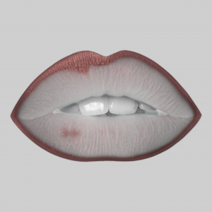 Карандаш для губ Shik - Lip pencil матовый, цвет garda, 1,2 гр. (арт. 4631144732517)